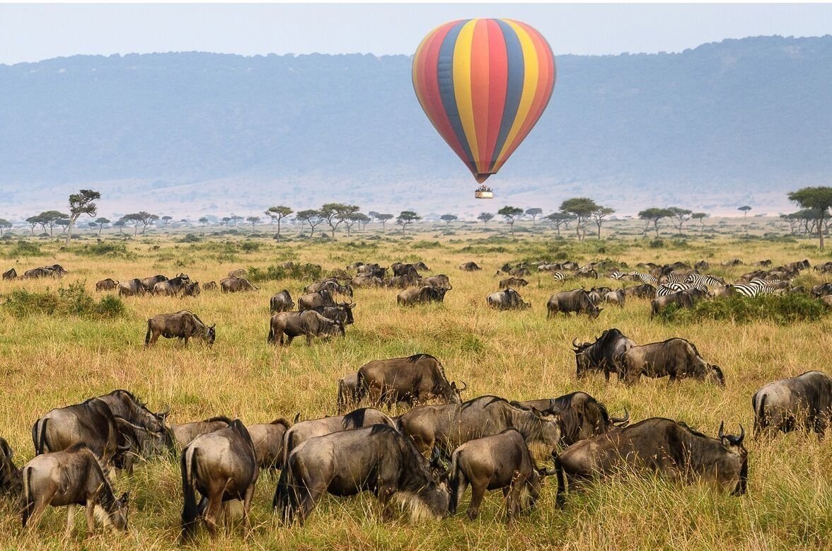 10-day-tanzania-safari-zanzibar-beach-escape_pMkQV (1)
