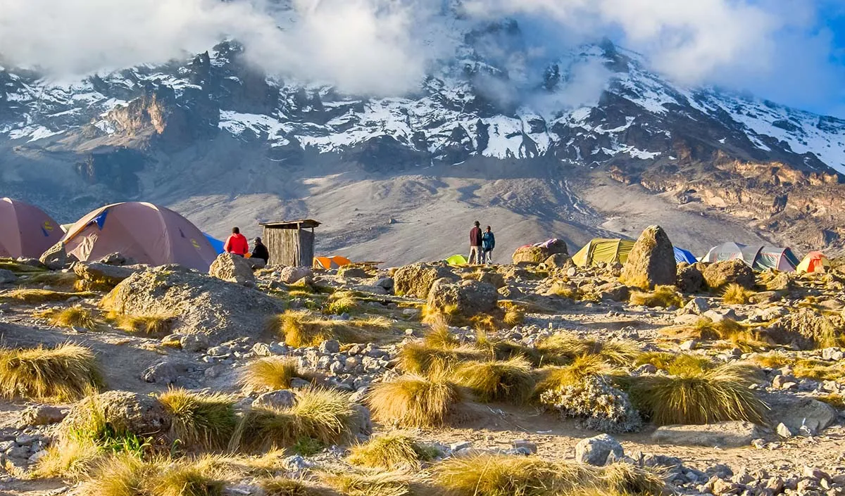 Kilimanjaro-trek-3