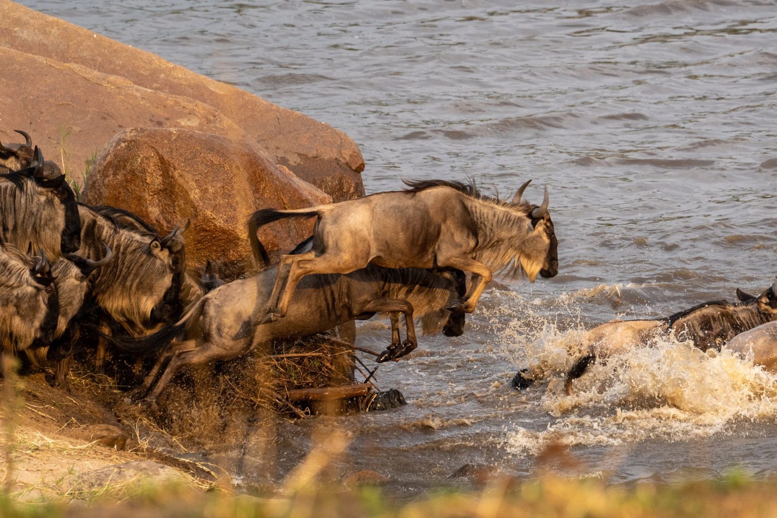Serengeti-wildebeest-Migration-in-November