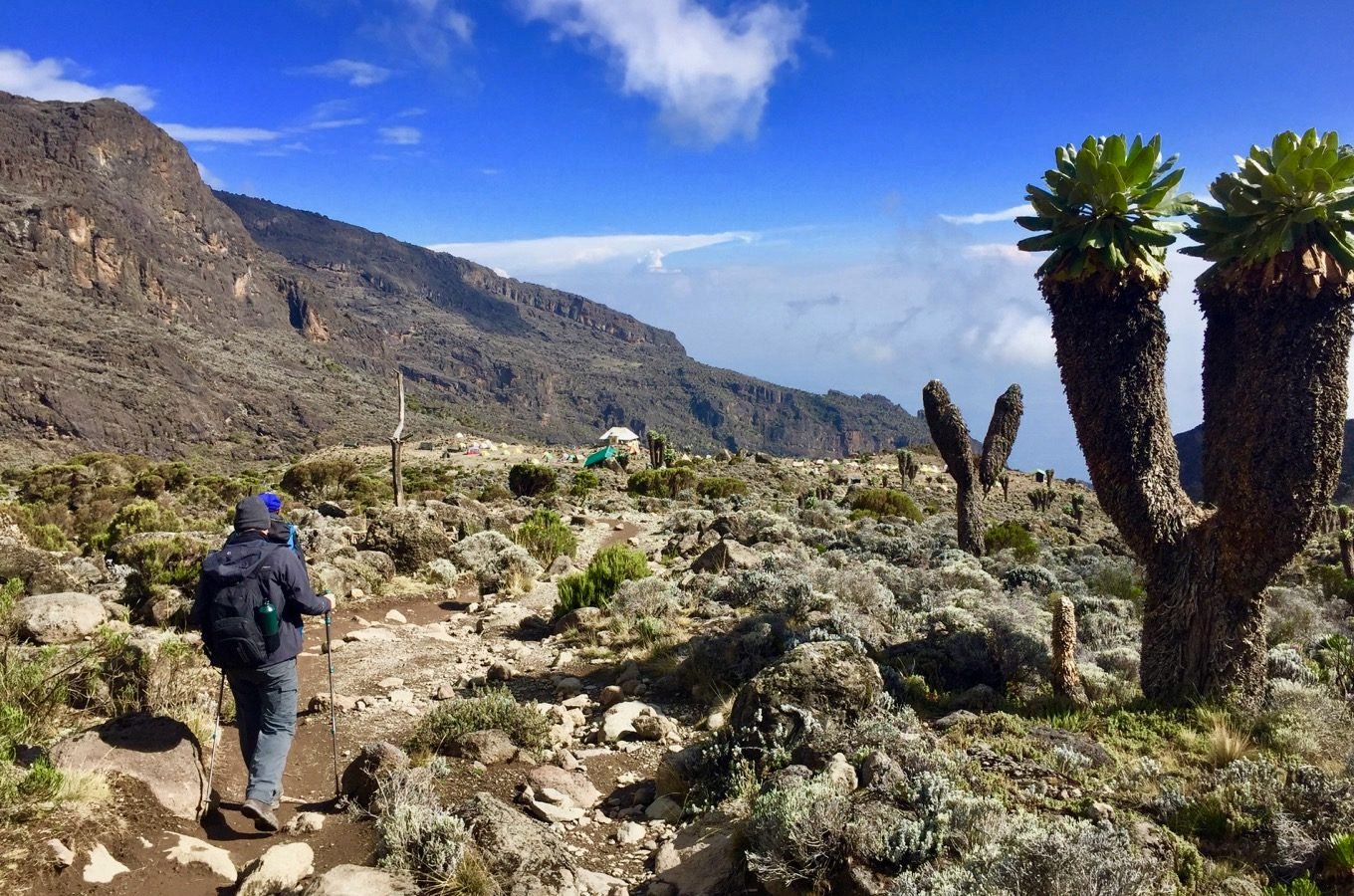 machame-route-trail