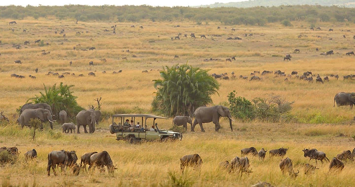 serengeti-game-drive-tanzania