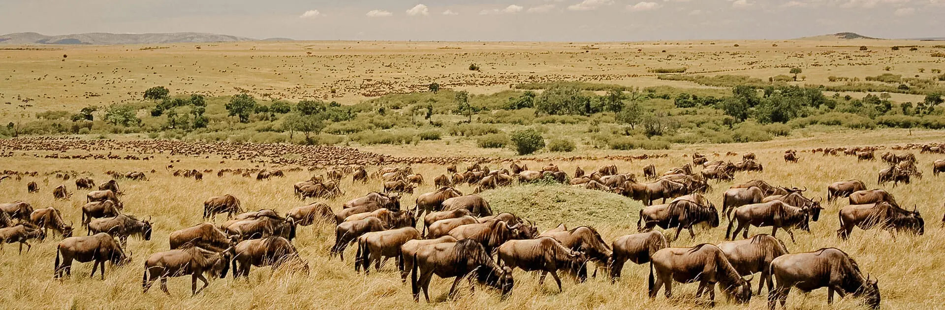 tanzania1-1-1920x630