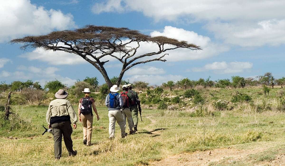 walking-safari
